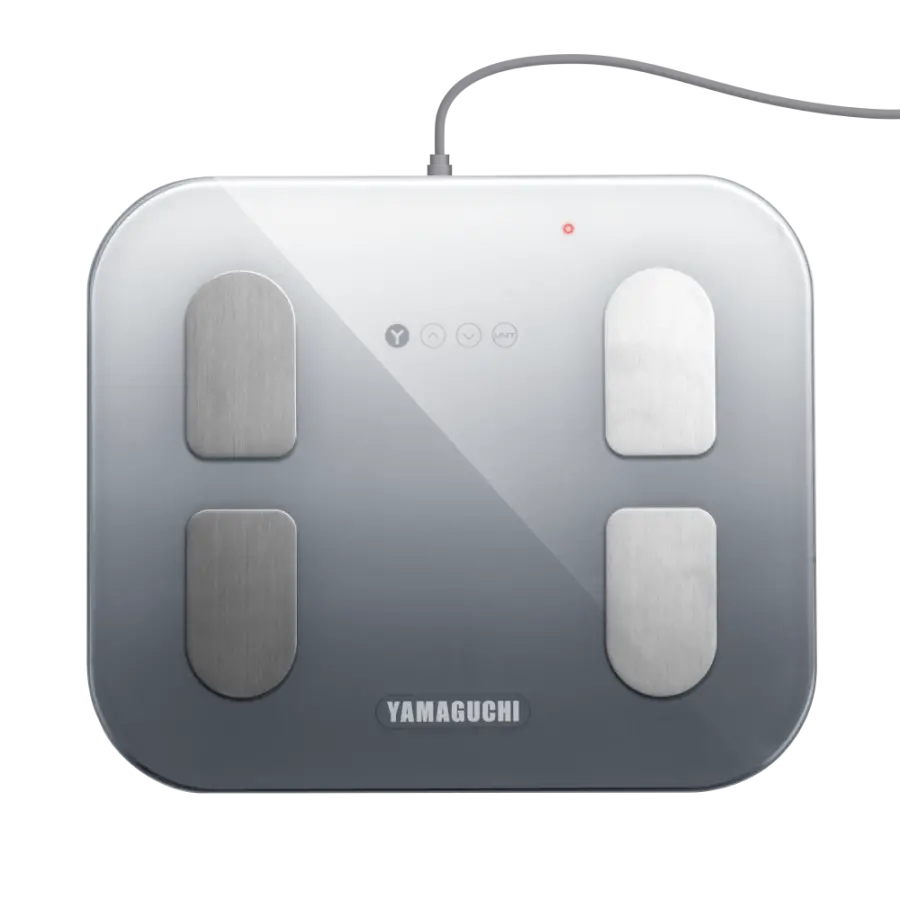 Yamaguchi Body Scale